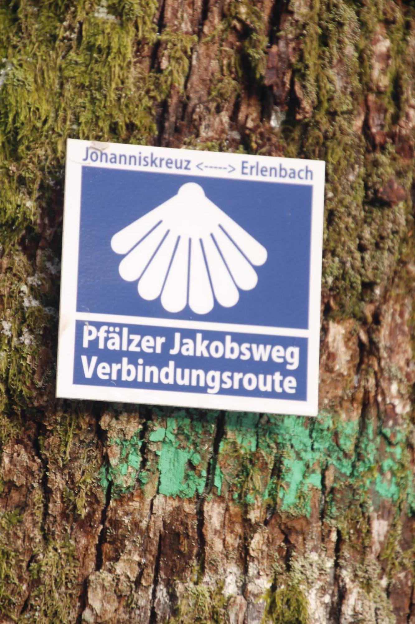 Appartement Ferienwohung Am Felsenwanderweg Im Pfaelzerwald à Rodalben Extérieur photo