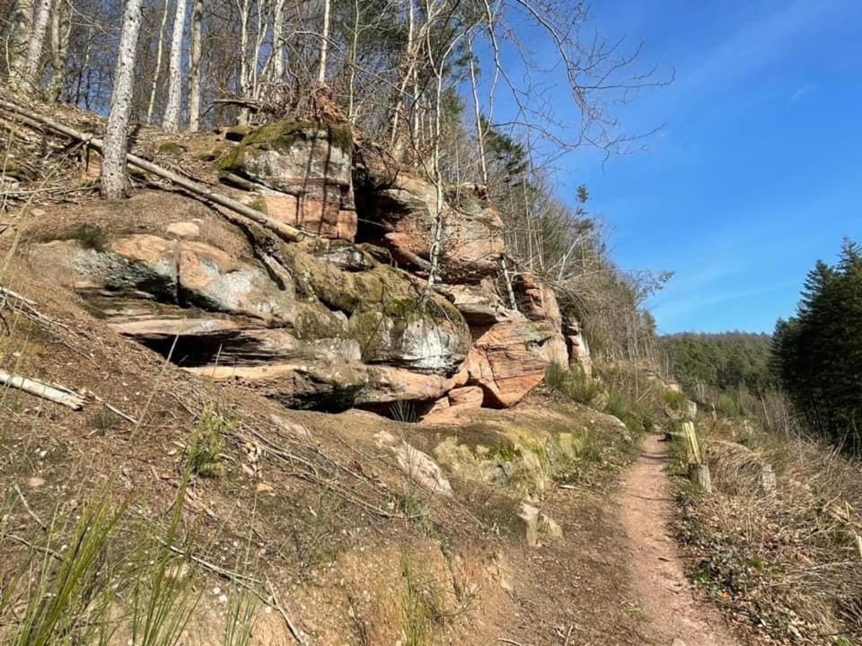 Appartement Ferienwohung Am Felsenwanderweg Im Pfaelzerwald à Rodalben Extérieur photo