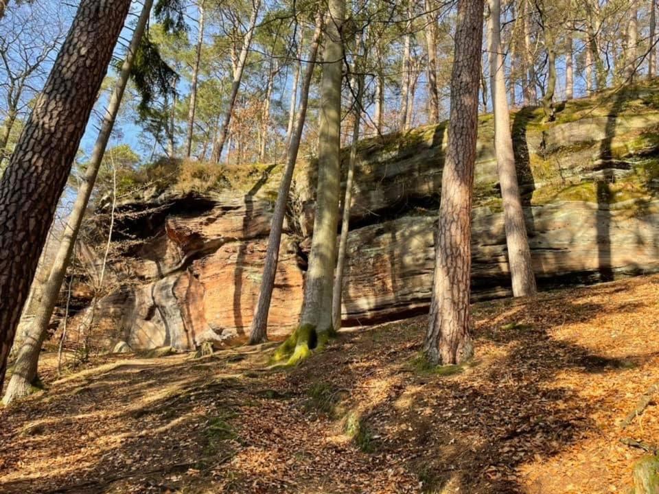 Appartement Ferienwohung Am Felsenwanderweg Im Pfaelzerwald à Rodalben Extérieur photo