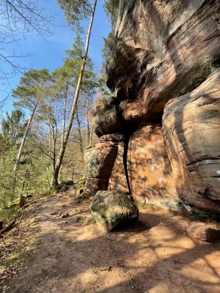 Appartement Ferienwohung Am Felsenwanderweg Im Pfaelzerwald à Rodalben Extérieur photo